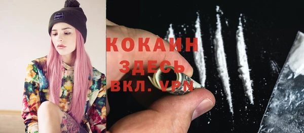 шишки Кукмор