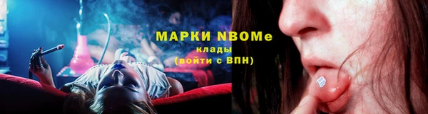 шишки Вяземский