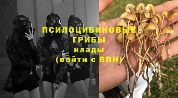 PSILOCYBIN Кулебаки