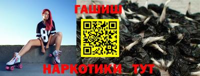 СК Волгодонск