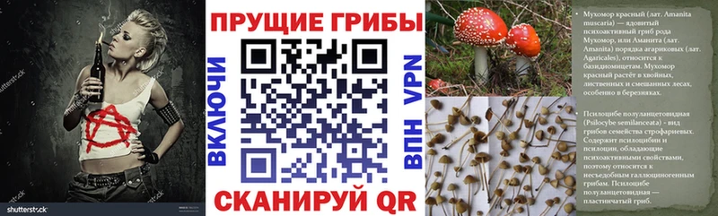 хочу наркоту  ОМГ ОМГ зеркало  Галлюциногенные грибы MAGIC MUSHROOMS  Железноводск 