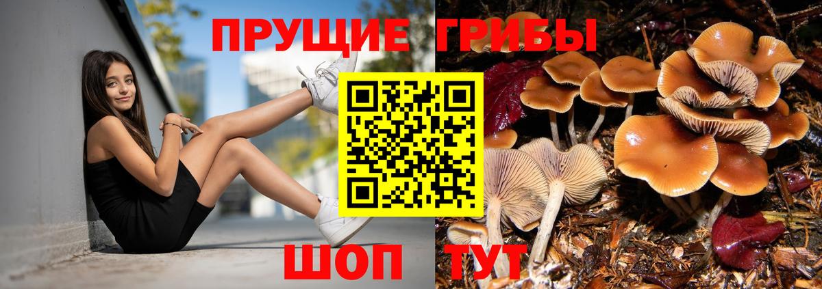 Псилоцибиновые грибы MAGIC MUSHROOMS  Вход с VPN  Псилоцибиновые грибы мухоморы  где найти наркотики  Железноводск 